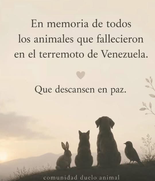 QUODOMINE's tweet photo. 😭😭😭😭😧😧😨😰😕🙁☹️🙌👐👐👐👌🙏🙏🐻🐶🐱🐈🐩🐕🐇🐾🐾🐾🐾🎑🎑🌠🌠☄️🌌🌌 https://t.co/7t7bfBwj01