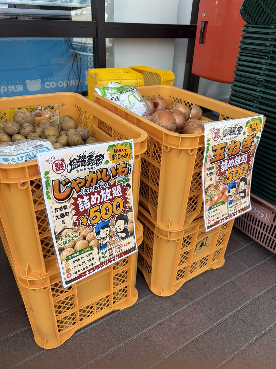 sxwxl_sendai's tweet photo. みやぎ生協鶴ヶ谷店で開催される「旬菜大市」がスタートしました！

地元の生産者が丹精込めて育てた、新鮮な旬の野菜を多数ご用意しております✌️

9:30〜12:00まで開催しております❗️
お近くにお越しの際は、ぜひお立ち寄りください🧢
#大郷町 https://t.co/NcCDBbAs5y