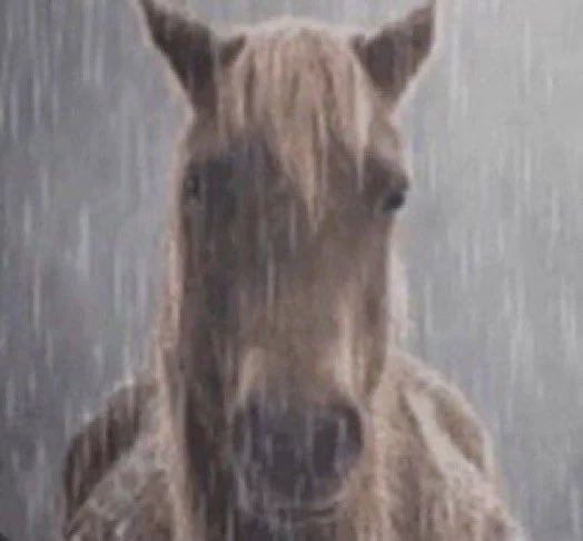 luvleybale's tweet photo. NO ME DEJA SEFUIR A MÁS GENTE WSYA COSA MAÑANA LOS SIGO A TODOS LOJURO 😭😭😭🤧, twitter no me deja socializar https://t.co/8UIg74gfay
