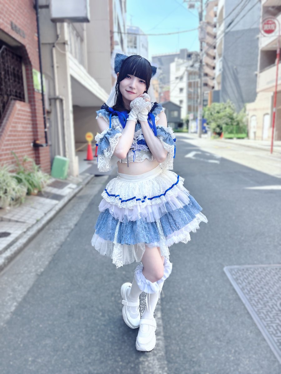 @猫屋敷 猫屋敷🐈🐈 (@cat_house_neko) / Posts / X