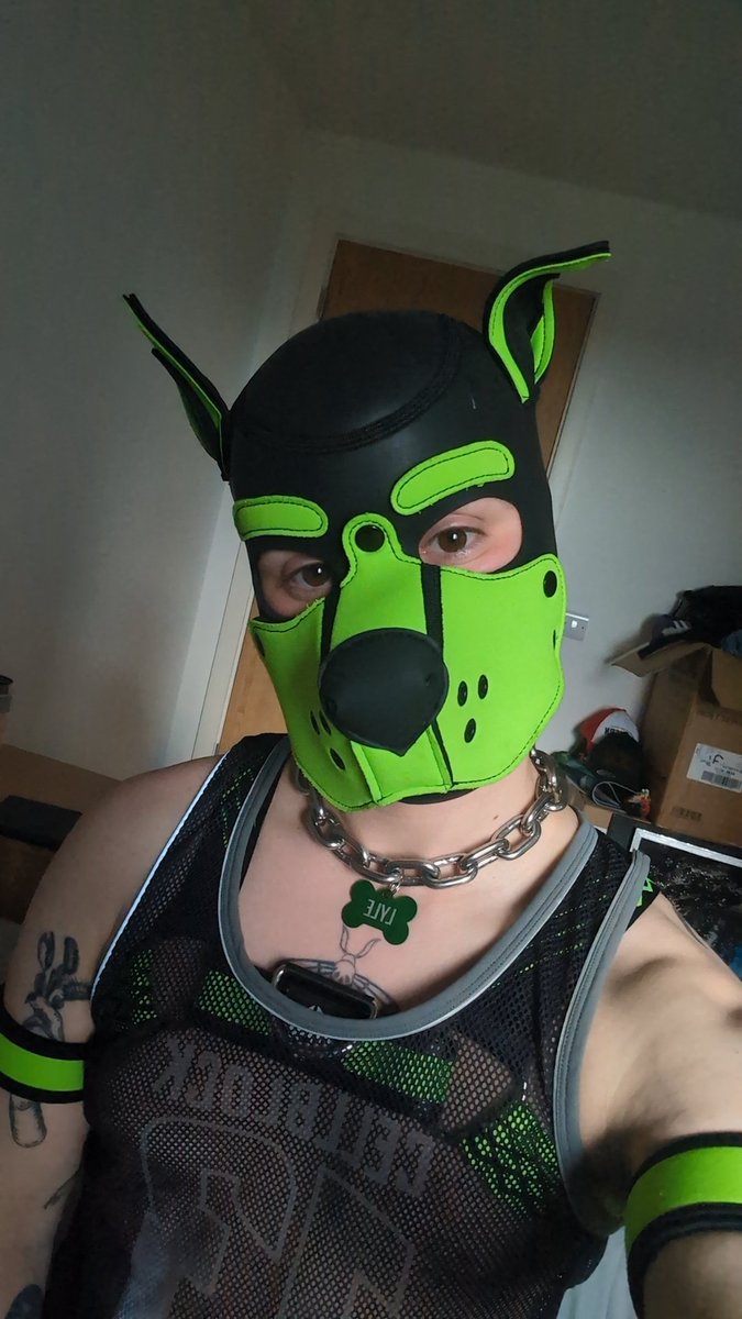 PupLyle's tweet photo. Heyooo 💚 where da dawgs at?👉👈🐶 https://t.co/1b7MdovJgD