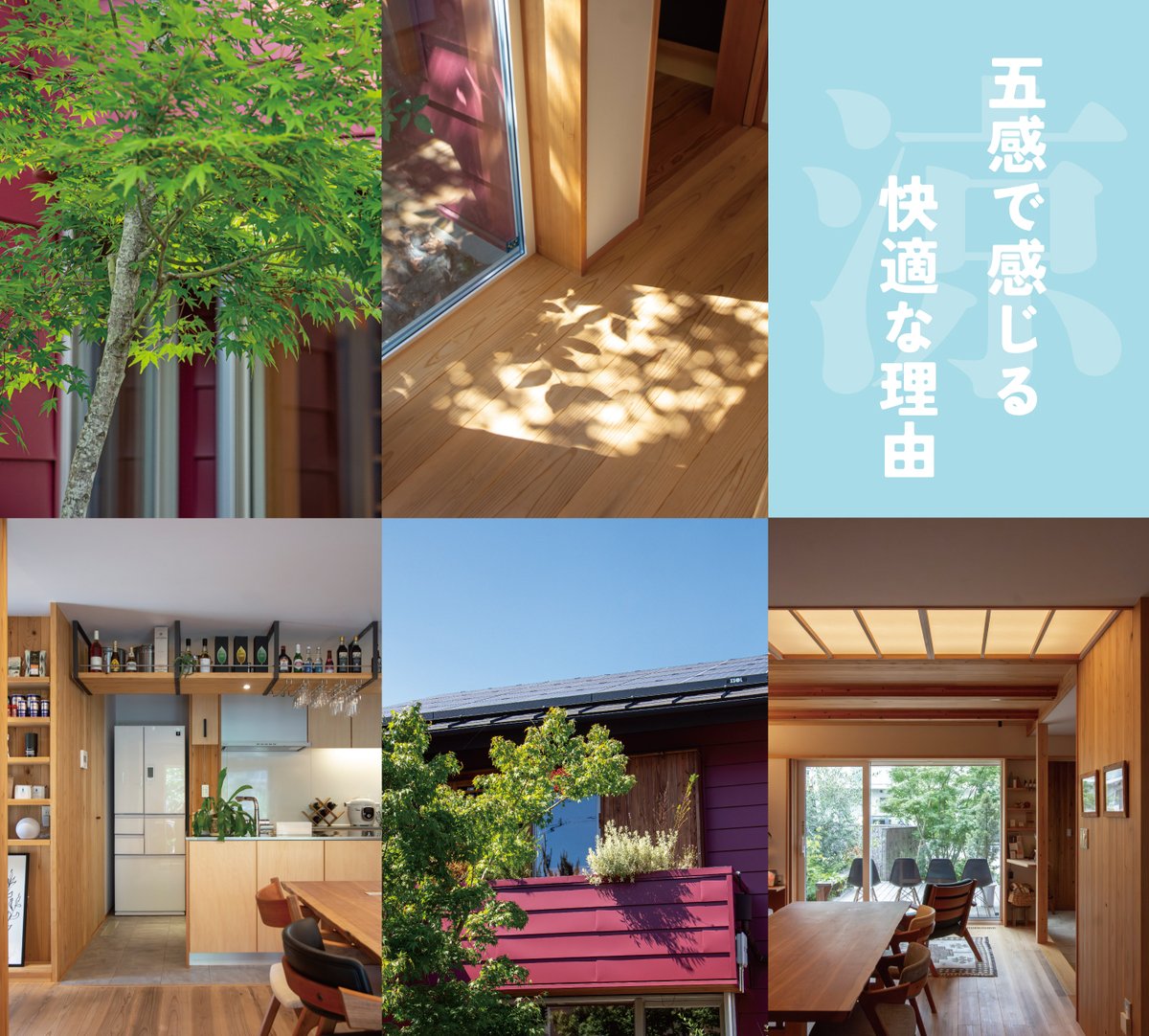 okaniwastyle's tweet photo. ／
　真夏日に試す、家の実力。
　涼しさ体感会🎐｜西東京市
＼

この暑さだからこそ、
“いま"体感してほしい。

築30年の木の家が、
ここまで「快適で涼しい」
https://t.co/DoTbJB9MFl https://t.co/vibSxIKjz2