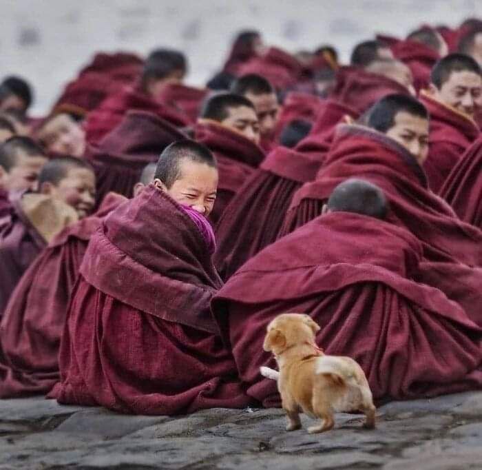 QuieroEstarAhi's tweet photo. #DisfrutaUnPoco 😀

#Photo #Imagen  
#wanderlust https://t.co/fE5GJBlSz4