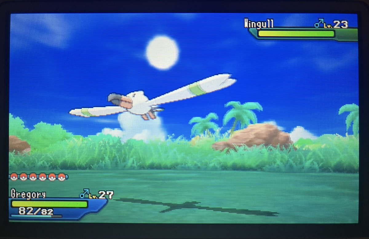 Qaurad's tweet photo. Shiny Wingull after 1,324 random encounters while looking for Stufful. (Phase 2) Onto the next. https://t.co/k6iIgEZCzA