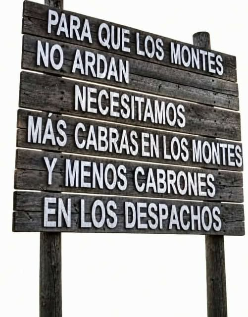 pepeluspain's tweet photo. https://t.co/uVqpgLPaII