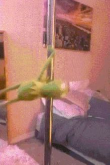 rumiracrumbs's tweet photo. @pumpkin_flee I hope she matches your freak https://t.co/hXJFnw7cl9