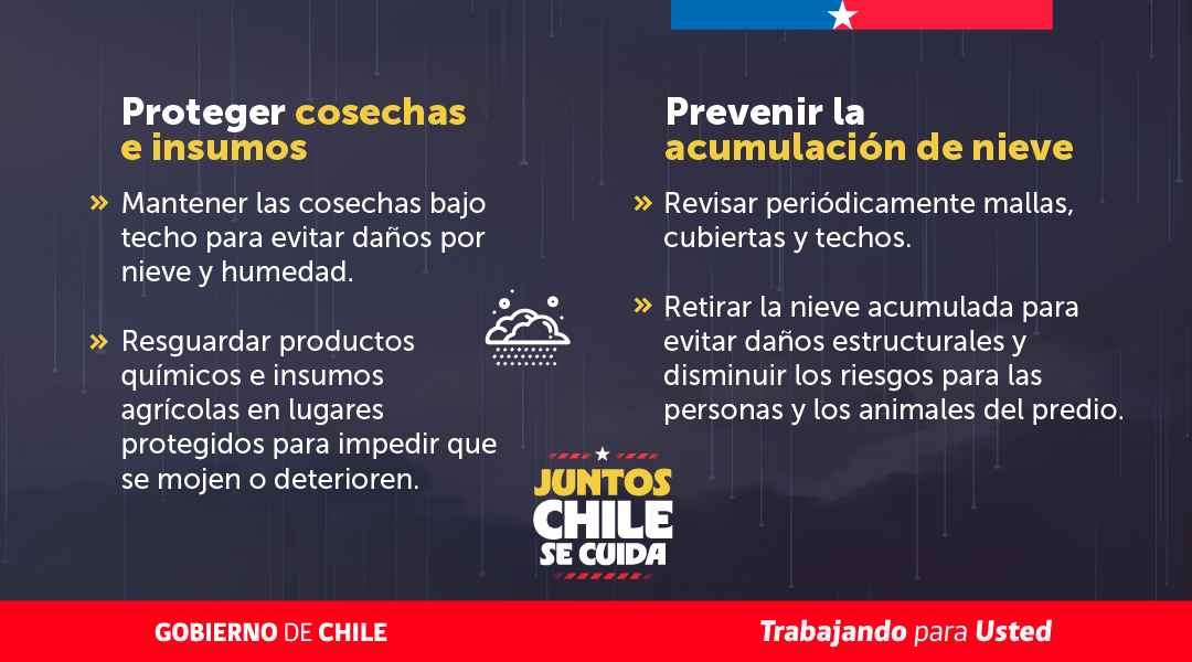 MinagriCL's tweet photo. ❄️⚠️ Frente al pronóstico de nevazones, emitido por @meteochile_dmc, para las regiones de Los Lagos y Aysén, desde este miércoles 22 al jueves 23 de julio, te entregamos las siguientes recomendaciones preparadas por la Unidad de Gestión de Riesgo de Desastres Agrícolas (UGRA) del @MinagriCL
