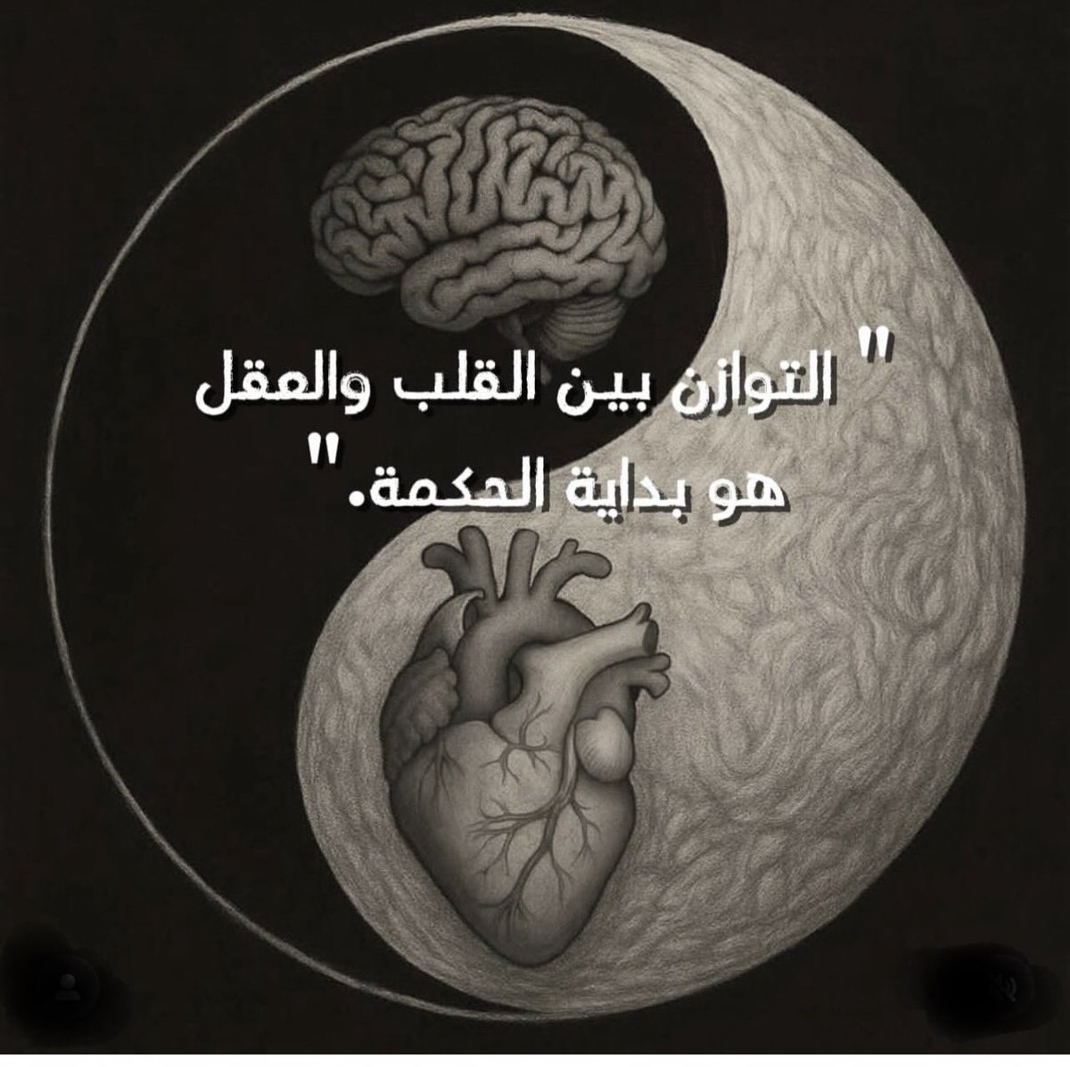 فوزيه أبوعبيد tweet media