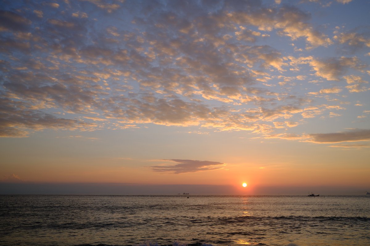 sensho_art's tweet photo. 今回、スクラッチアート資料集めで撮影した写真の一部です。まだまだ写真も勉強中ですが、一枚目がお気に入り。
ラストはスクラッチアートの下絵。層で塗り分けしているので、削るときの筆圧で出てくる色が変わり楽しいです。
#fujifilm
#fujifilm_xseries
#X100VI
#スクラッチアート https://t.co/FomvjBzwP0