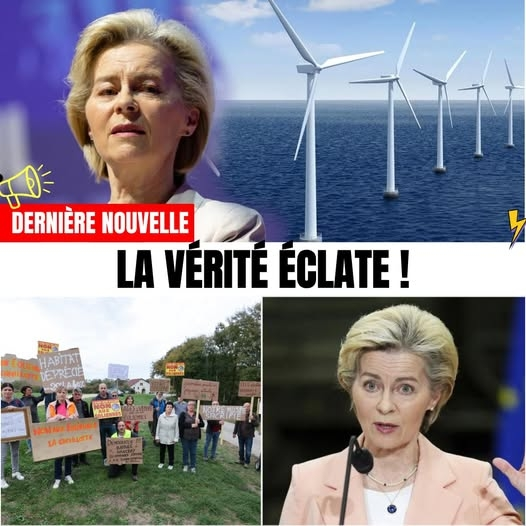 Christine P. tweet media