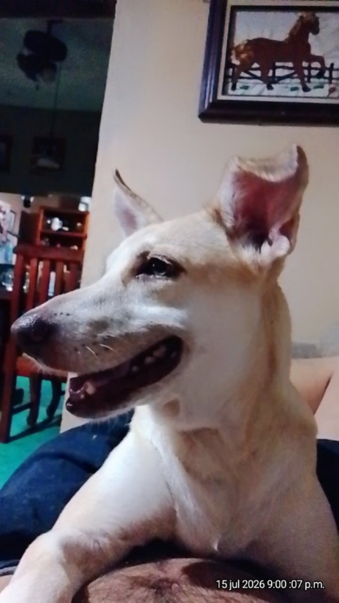 marktamuin's tweet photo. Mi pequeña bebe https://t.co/6rueCULpcE