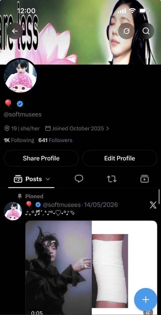 🎈 tweet media
