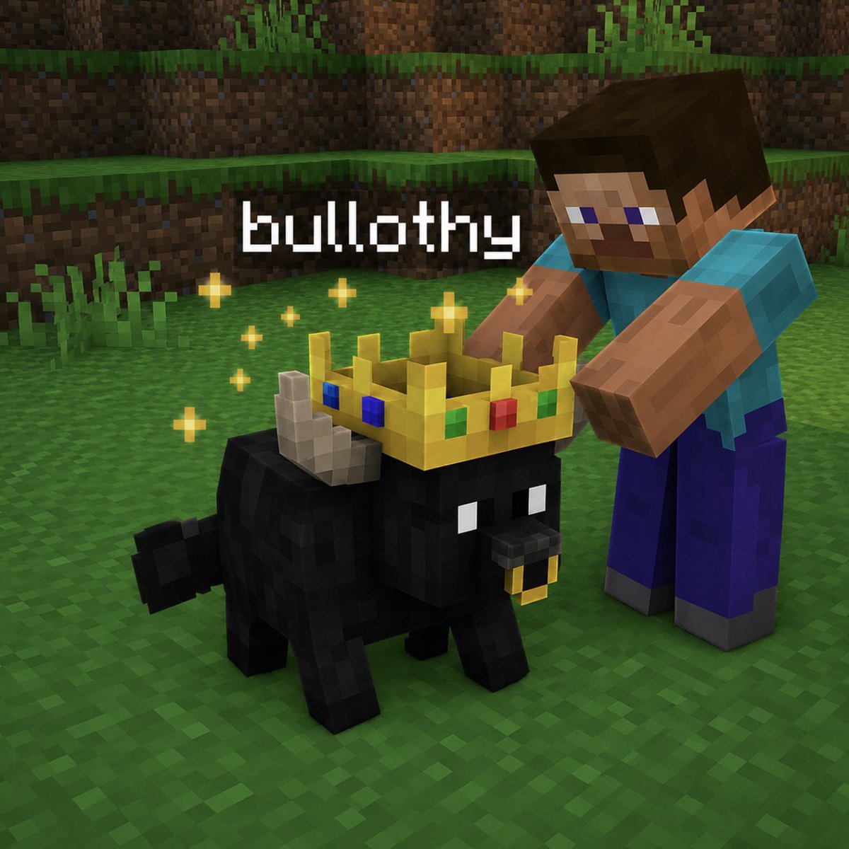 BullothySOL's tweet photo. there’s a new bull on the server @blknoiz06 https://t.co/SkeDZCfgBR