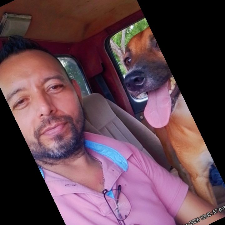 marktamuin's tweet photo. Con mi perrohijo https://t.co/kfAWtNGuZA