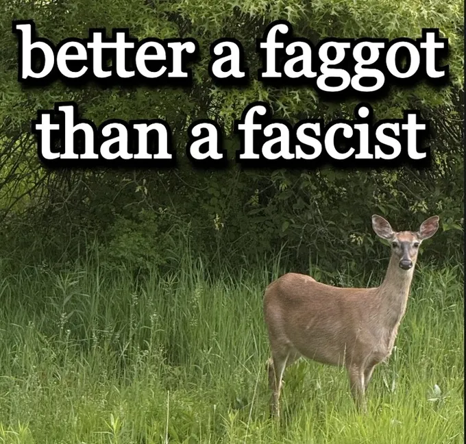 deertexting's tweet photo. https://t.co/qgxMlkOIOU