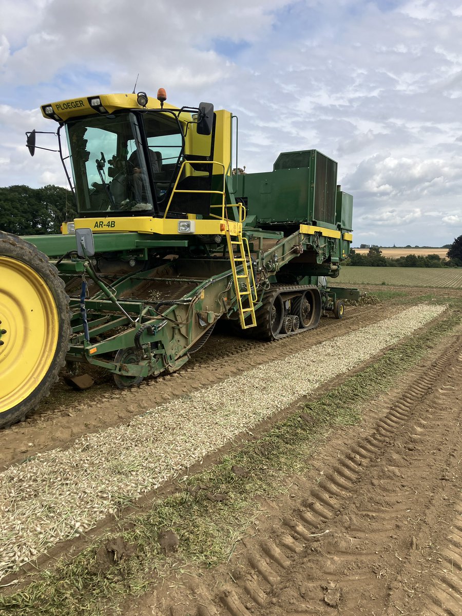 RolfvdBerg's tweet photo. Récolte aujourd'hui des #oignons petites bulbilles en Wallonie chez un client de https://t.co/Xloy3ItXpp. https://t.co/F4GNjUvOUd