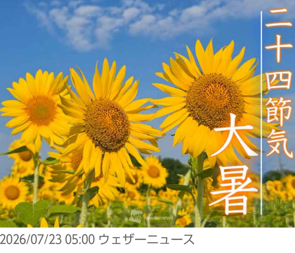 mymightycat1's tweet photo. おはようございます
２９℃
湿度８３%
今日は最も夏の暑さが厳しくなる頃とされる大暑です
天気予報「最高気温３８℃
危険な暑さ、熱中症に最大限の警戒を」 https://t.co/FkGtvxwwcQ