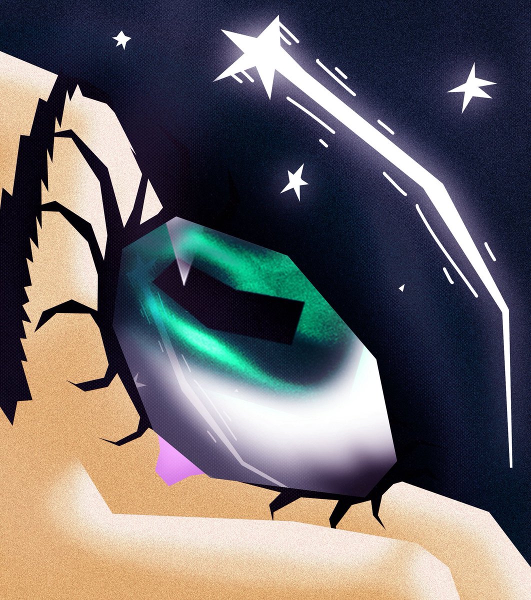 bibsbeenthat's tweet photo. The shooting star https://t.co/1iKAwzqHcF