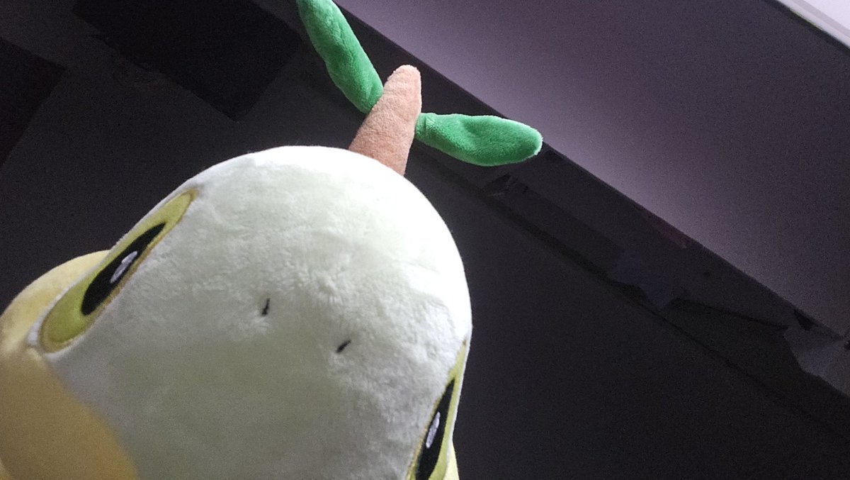 sansom_322's tweet photo. 왕바보 
턱 엄청 큼 
돼지임 https://t.co/ap3vWQFD3O