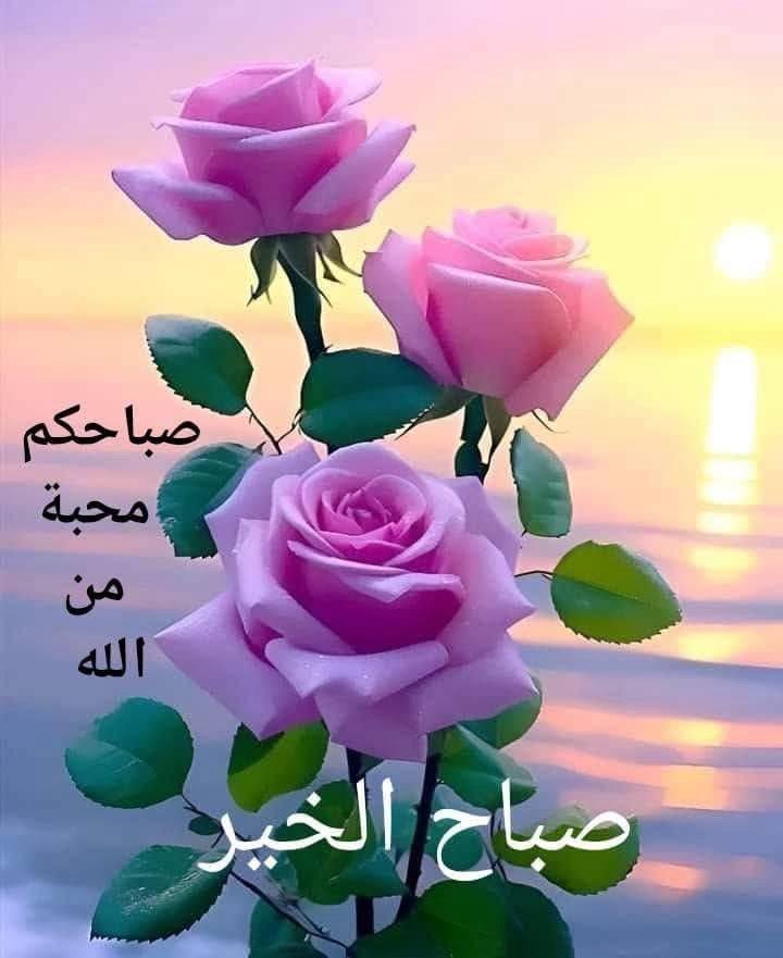 ro2vvh's tweet photo. صباح الخير https://t.co/tL1WZrJvka