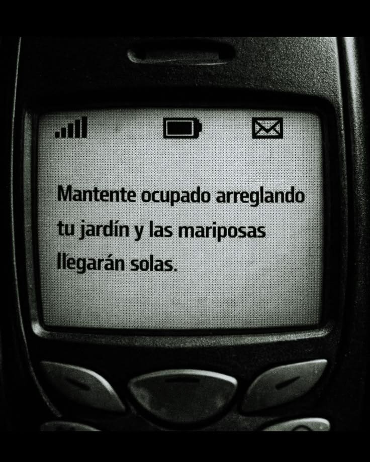 El_abuacatit0's tweet photo. 🥀🦋 https://t.co/D2cUBdXFW1