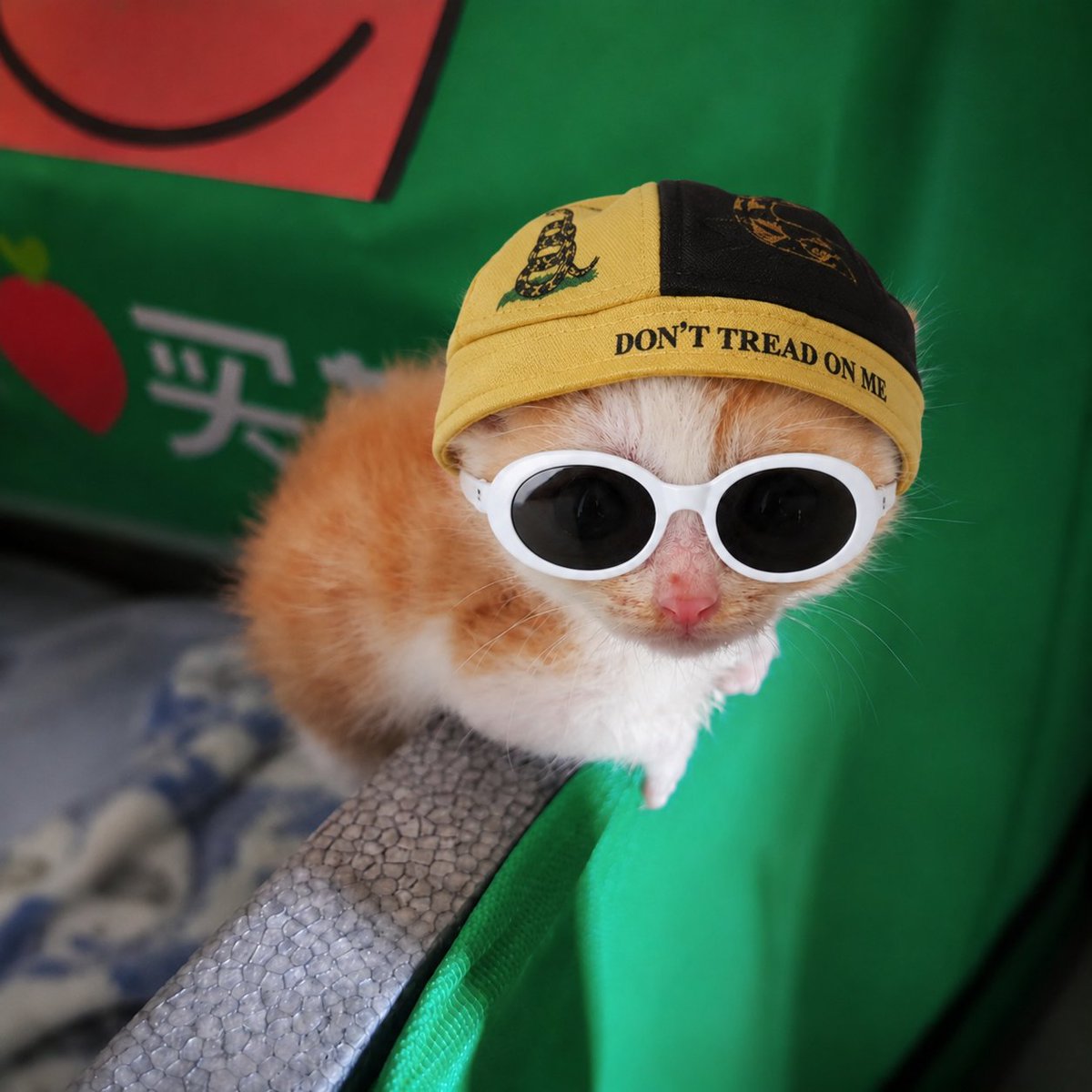 TooTinyToRug's tweet photo. When airdrop ? https://t.co/eyRODfaj0A
