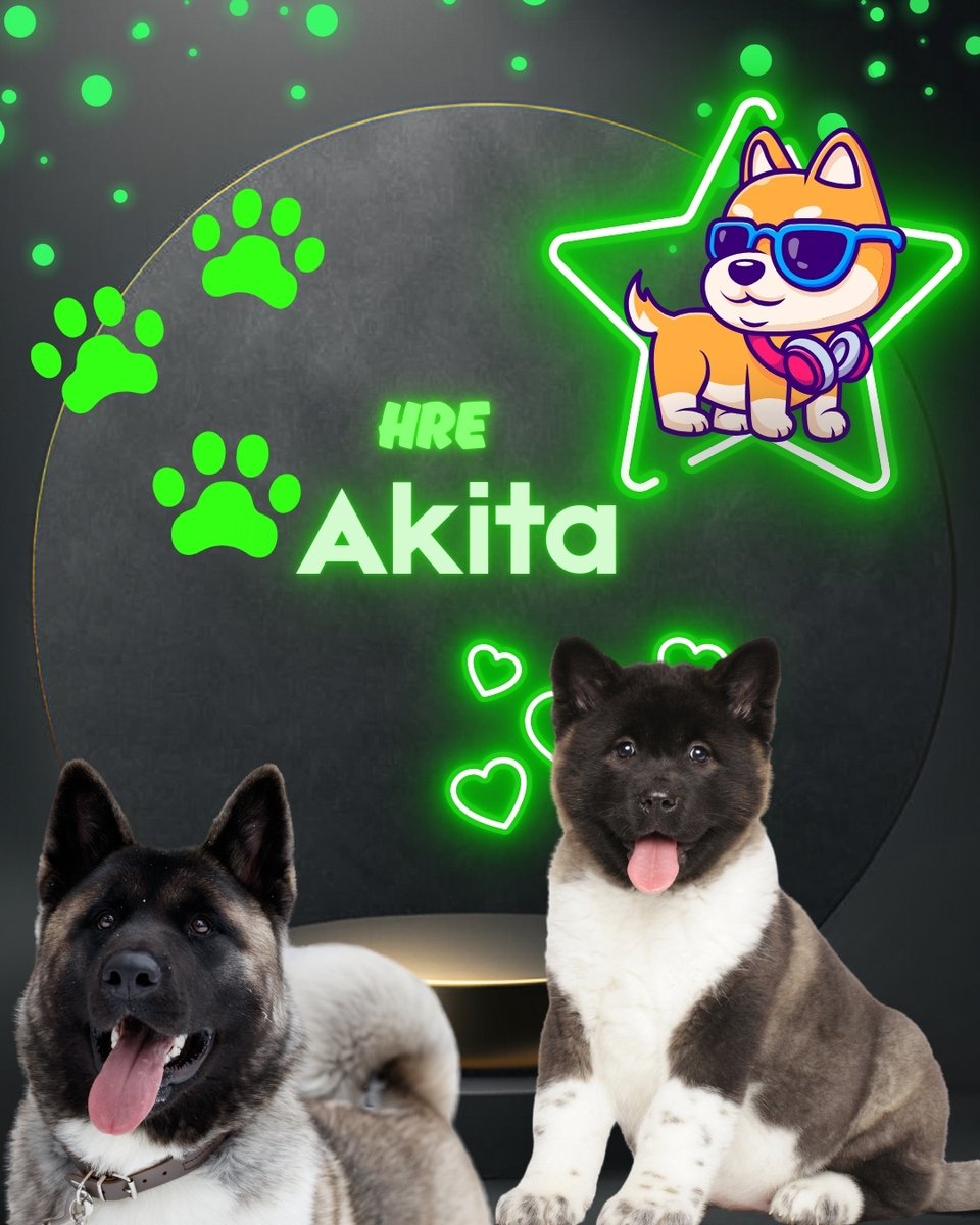 cachorros_ec's tweet photo. Akitas cachorros información escríbenos a puppies.ec@hotmail.com ecuador akitas venta Criadero          Quito SantaElena samborondon SantoDomingodelosColorados NuevaLoja Ambato Zamora https://t.co/pZyoPIIhir