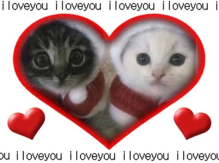tearsofaanngel's tweet photo. ｡ﾟ(ﾟ´Д｀ﾟ)ﾟ｡ https://t.co/Lu0zeCqors