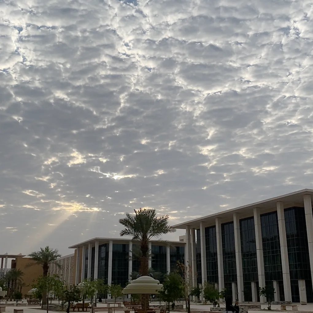 j_alm0's tweet photo. PNU>>>> مستحيل تكفيها 4 صور 🫂🤍🤍🤍!
#PNU https://t.co/kEhEqJDzMF