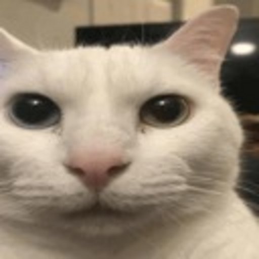 HenryBean202X's tweet photo. @SillySandals @rCanesBootySex I know what you like... https://t.co/0NYNAXFah9