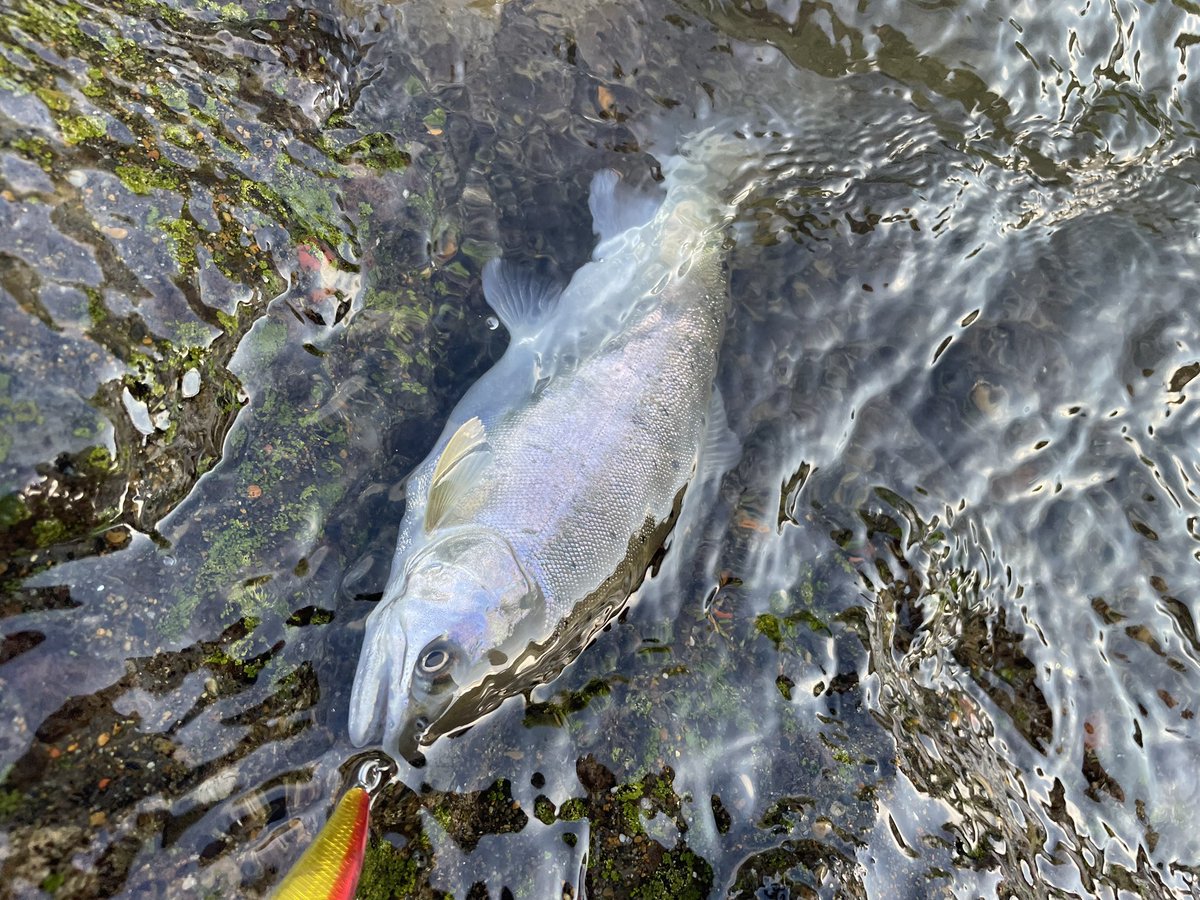 eastangler's tweet photo. 清々しい朝☀️ https://t.co/s33IYIQfZN