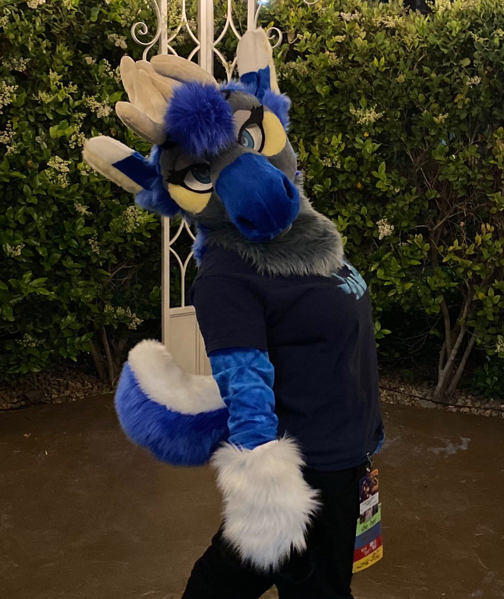 AzoriusBou's tweet photo. Lowering this bou to $1200 plus shipping, need to clear space!!

Character rights not included BUT I will make you a ref sheet as a part of the purchase!

No payment plans, FCFS! DM on Telegram (same @) if interested!! https://t.co/62UlNySC36