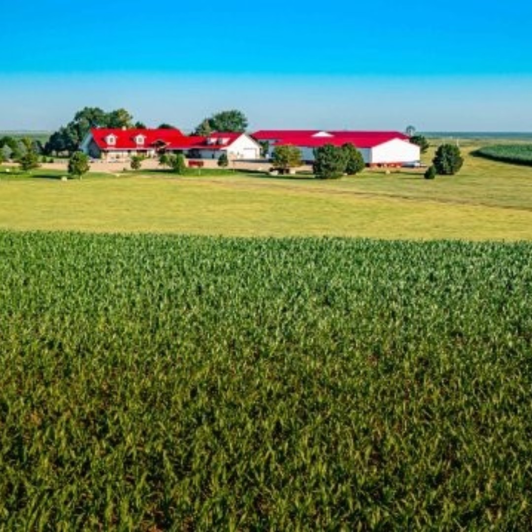 landreport's tweet photo. Agland Partners Estate
Kansas | 3,850 Acres | $18,999,000
Listed by: Farm &amp; Ranch Realty Inc.

3,850 acres of irrigated farmland, dryland, grassland, and quality improvements.

Learn more and inquire today: https://t.co/Cq6Kbhvp4L https://t.co/Ip7u2RQ3X4