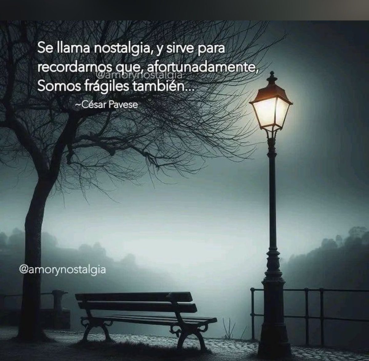 DelfinSantans's tweet photo. https://t.co/DhEnNL08qs