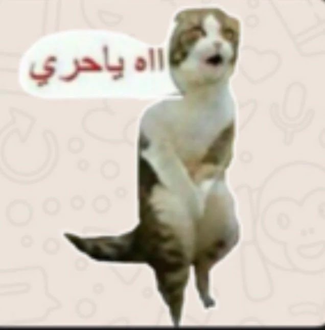 ‏Sara tweet media