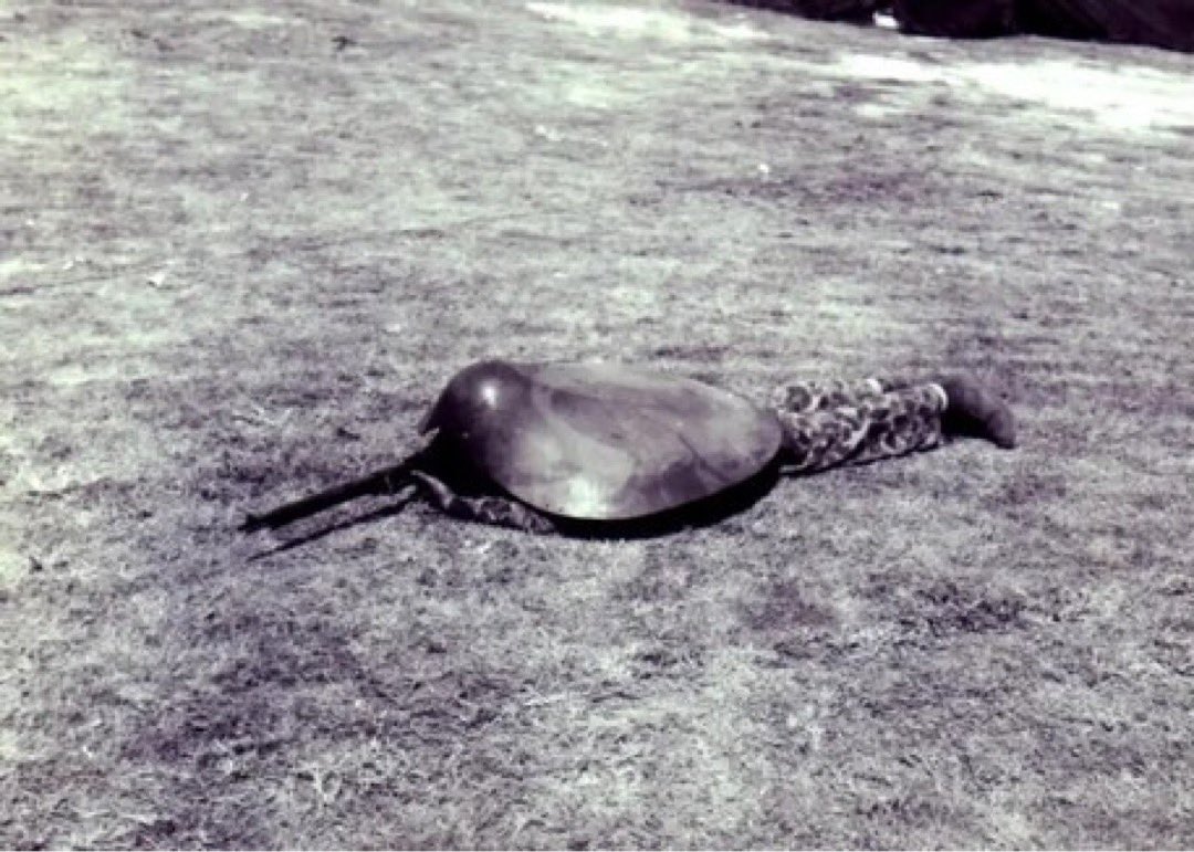 blackstarops's tweet photo. an american marine shows how a captured japanese turtle shield armour works with a japanese rifle (1944) https://t.co/gqR9qcqA8Z