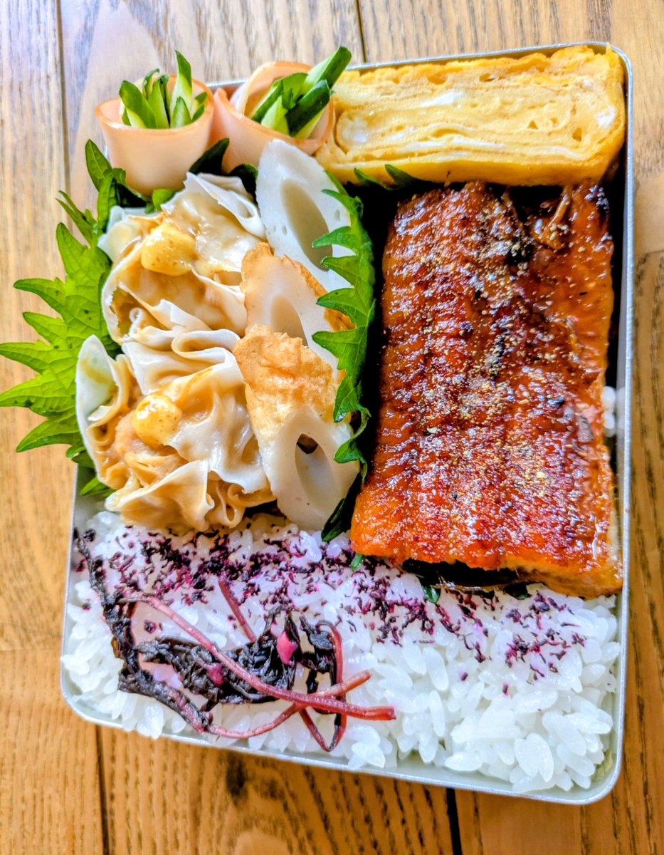 managonia's tweet photo. 20260723焼売、ハム胡瓜、竹輪、玉子焼き、鰻蒲焼き、ご飯　#お弁当 https://t.co/kDH2kzyxRd