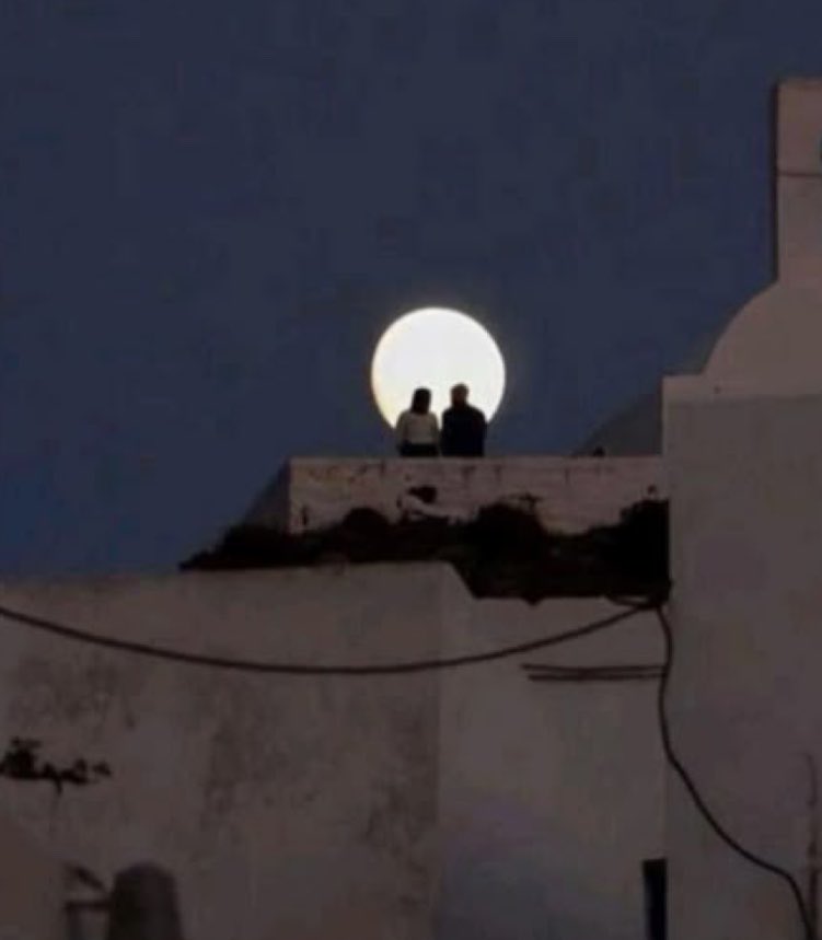 aljamal__'s tweet photo. انا احبك .... وهذا الحب .. مثل النور مترامي
تعالي واسمعي كيف الضلوع الحدب يحكنّه

شعوري بعد ما صرتي غلاي  .. وضحكة ايامي
شعور أوّل بشر …يوم القيامة…  يدخل الجنة https://t.co/7LuRsTbH36