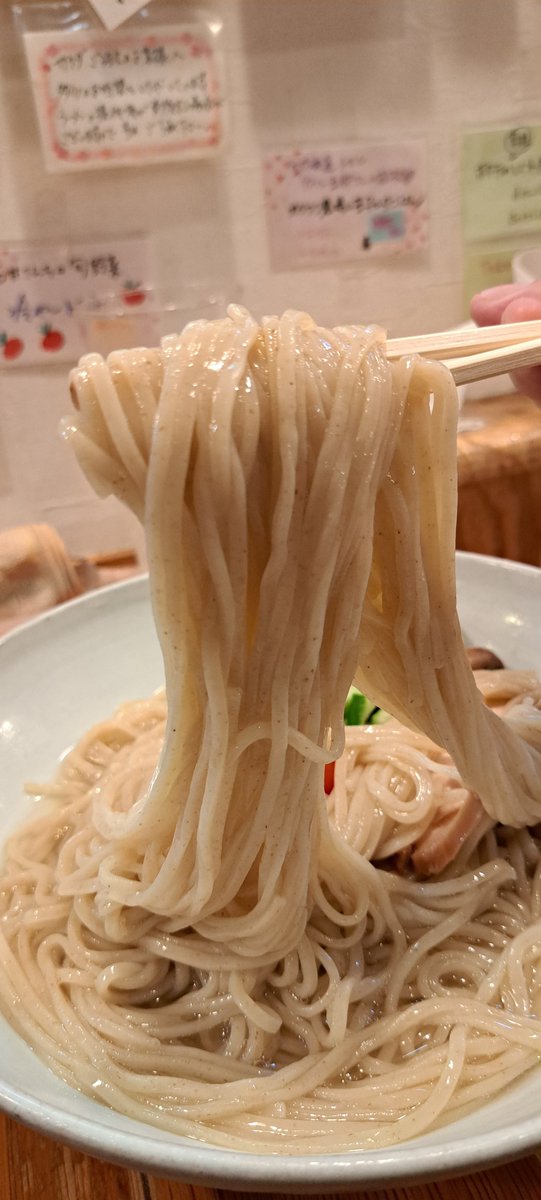 newjackeynew's tweet photo. 20260722
本郷台　らーめん森や。
✔森の冷やしつけ麺

冷水〆した十勝産はるゆたか
自家製麺の美味さを
たっぷり味わってから
フレッシュなトマトとハーブの
冷製つけ汁へダイブすると
もうヤバウマ👍
最後に温かいスープ割で旨味倍増
今週も元気もりもりや～🌳
超美味し！ https://t.co/8b9OxyymXK