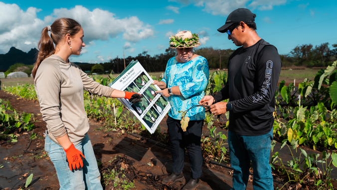 uhmanoa's tweet photo. A @CTAHRNews study finds Hawaiʻi's food security depends on more than production and infrastructure, highlighting trust, community connections and cultural engagement as keys to strengthening local agriculture and food resilience ➡️ https://t.co/TYDaDNpOlX https://t.co/EGL4zt3snB