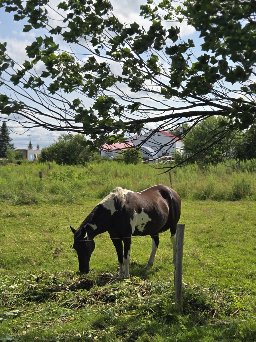 NassifNath's tweet photo. J'ai habitée 15 ans sur ce ranch ,auj jy ai cuilli des fruits...Mon fils a un bel héritage
#rentier https://t.co/CmrDbDunsq