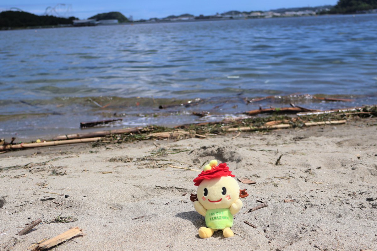 ぼたんちゃんのつぶやき】 🌊海の公園🐚 今年も夏が始まったね！ #金沢