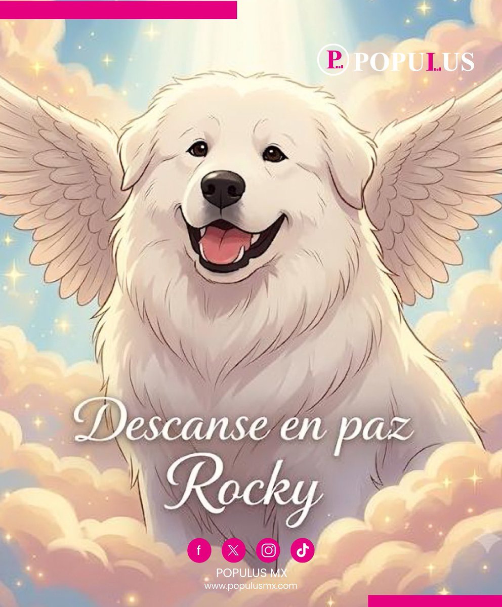 Populus_mx's tweet photo. Debido a la gravedad de sus heridas y daño neurológico irreversible este 22 de julio falleció Rocky, víctima de violencia presuntamente por parte de sus dueños Liliana “N” y Jorge “N”.

El fallecimiento de Rocky no es una tragedia aislada, sino el síntoma de una profunda crisis que aún perdura hacia los seres sintientes. Un perro perdió la vida tras sufrir un trauma medular irreversible, provocado por el acto de ser arrastrado desde una camioneta en movimiento por su propia dueña en Saltillo. Este nivel de crueldad evidencia la urgencia de redefinir de manera estricta nuestra relación con los animales. 

El caso de Rocky refleja un  límite definitivo para exigir que el maltrato animal se persiga y se castigue de forma contundente. Dado que los seres sintientes no tienen voz para defenderse en los tribunales, la sociedad civil tiene la obligación moral de asumir su defensa y erradicar la crueldad de manera absoluta. 

#perro #rocky #NoAlMaltratoAnimal #mascotas #animales #SeresSintientes #Saltillo #viral #tendencia