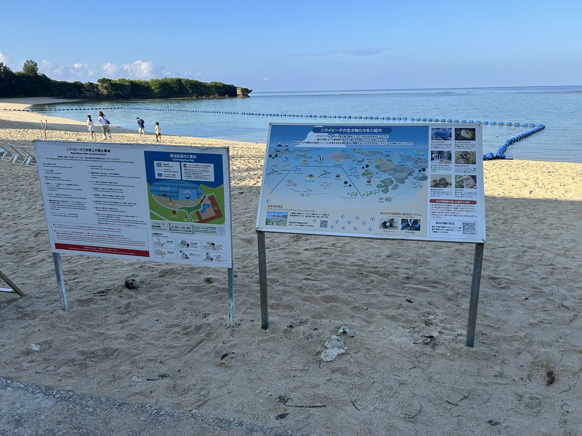 ニキータ様 琉球*海花のたね ニキータ様 琉球*海花のたね 沖縄 その3