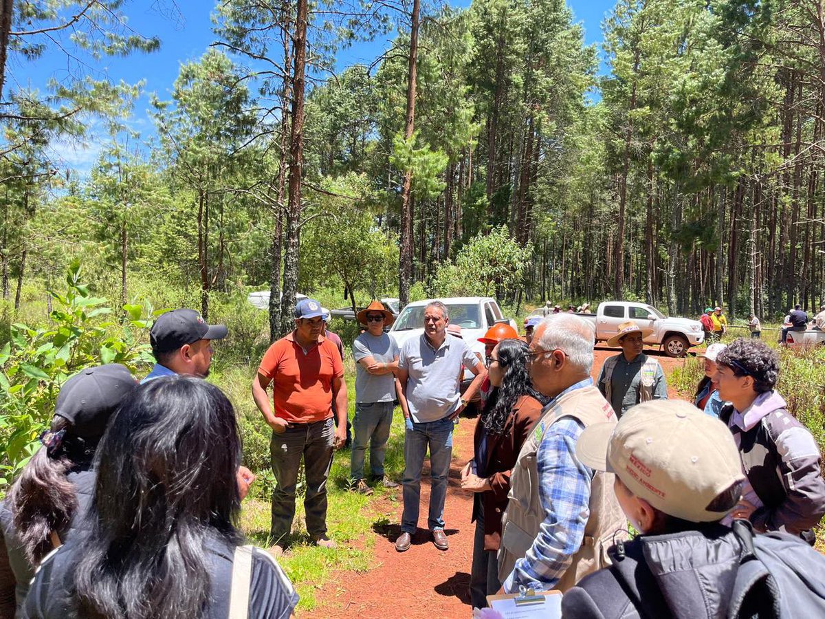 AgriculturaPue's tweet photo. Realizamos un recorrido en campo para preparar la próxima jornada de reforestación, delimitando zonas de trabajo y organizando brigadas junto a autoridades ejidales, Sembrando Vida y CONAFOR para recuperar nuestros bosques con la Presidenta @Claudiashein. https://t.co/Mv7BJWxSaU
