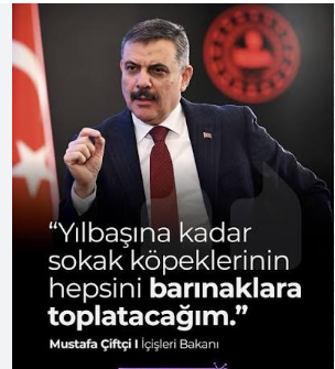 sinanatacann's tweet photo. Atanmış İçişleri Bakanı Mustafa Çiftçi işi gücü bırakmış sokak hayvanlarını ölüm kamplarına göndereceğini söylüyor.

Ülkede her gün erkekler tarafından katledilen kadınların katledilmesini durduracağım demiyor.

Ölümleri durduramayan görevini yapamayan bakanın gücü hayvanlara mı? https://t.co/koCfHMarF7