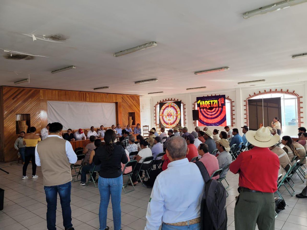 AgriculturaPue's tweet photo. Impartimos una capacitación en Hueytamalco junto a la Asociación Nacional de Procesadores de Cítricos sobre manejo de cítricos dulces, abordando control biológico, bioinsumos y cambio climático, dentro del compromiso agroecológico de la Presidenta en la Sierra Nororiental. https://t.co/QkCVBQofKg