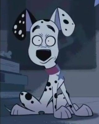 🚦Dynamo Dalmatian 🛑 🐾 tweet media