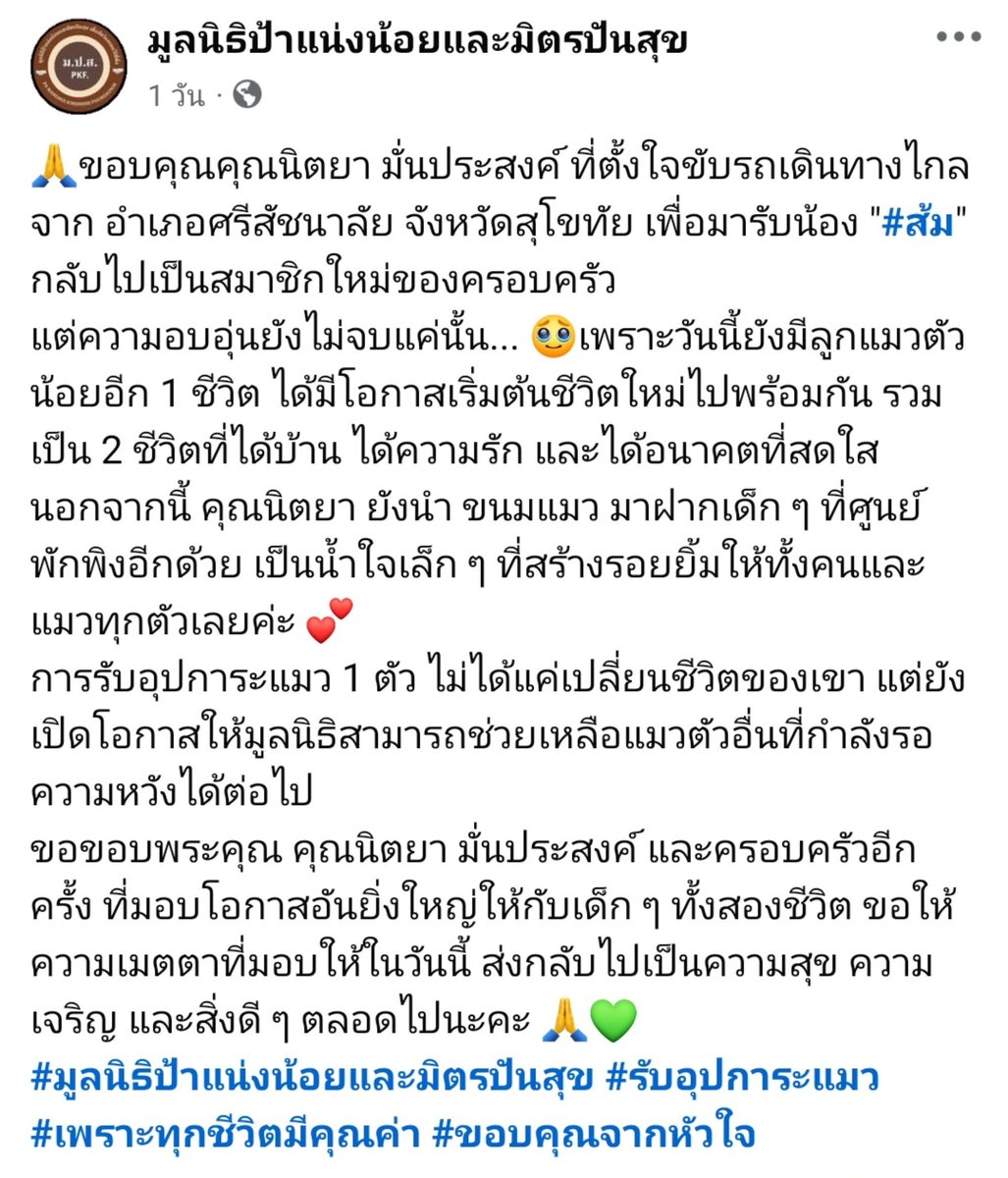7o2gether4ever's tweet photo. มีคนใจดีขับรถไกลมากมารับส้มกับแมวเด็กอีกคนไปอยู่บ้านที่อบอุ่นของเค้าแล้ว 🙏🥺❤️ขอให้ส้มและสัตว์ทุกตัวบนโลกนี้มีความสุขนะลูก https://t.co/Y1bk6EzmPj
