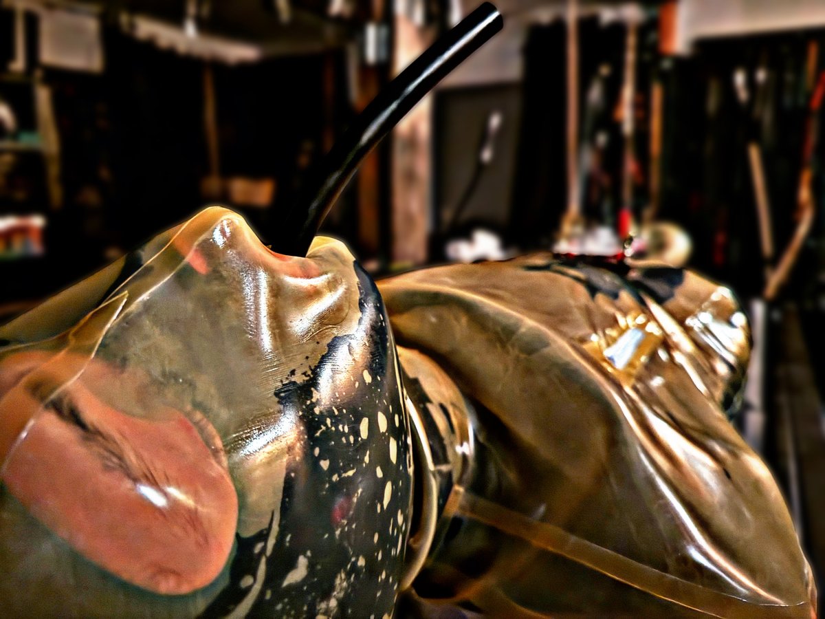 italrub_'s tweet photo. #fullrubber #gimp relaxing after a long day at work in the #thick #rubber #cocoon - #cbt #press gets #tighter and tighter, #electro pushes #higher with every 30 seconds passing. relaxed and helpless at the same moment, the rubber hose with the only possible #airflow under #control of the Sir.
...not knowing what will happen next...